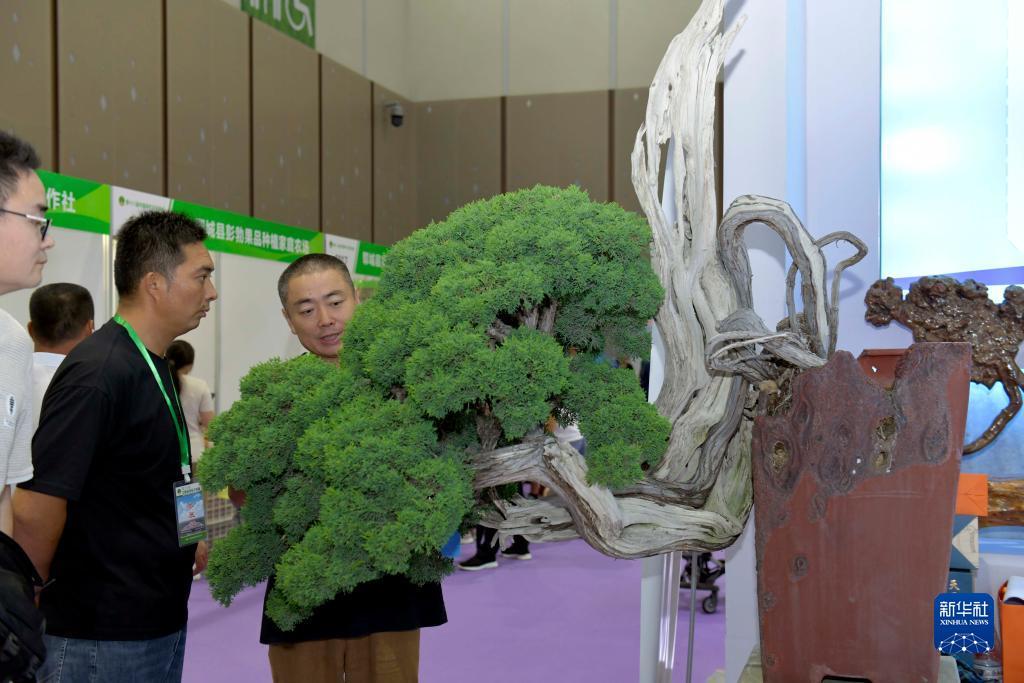 中国足球导航
