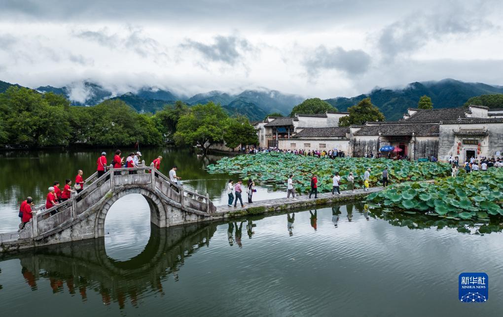 大博金下载